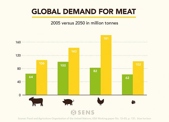 meat-demand-global-2010-2050-global-2-1666736791.jpg